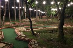IMG-f50cb4d539dfab48b506ccdf5d4957d0-V