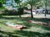 miniature golf